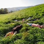 Haunzwickl Murzzuschlag